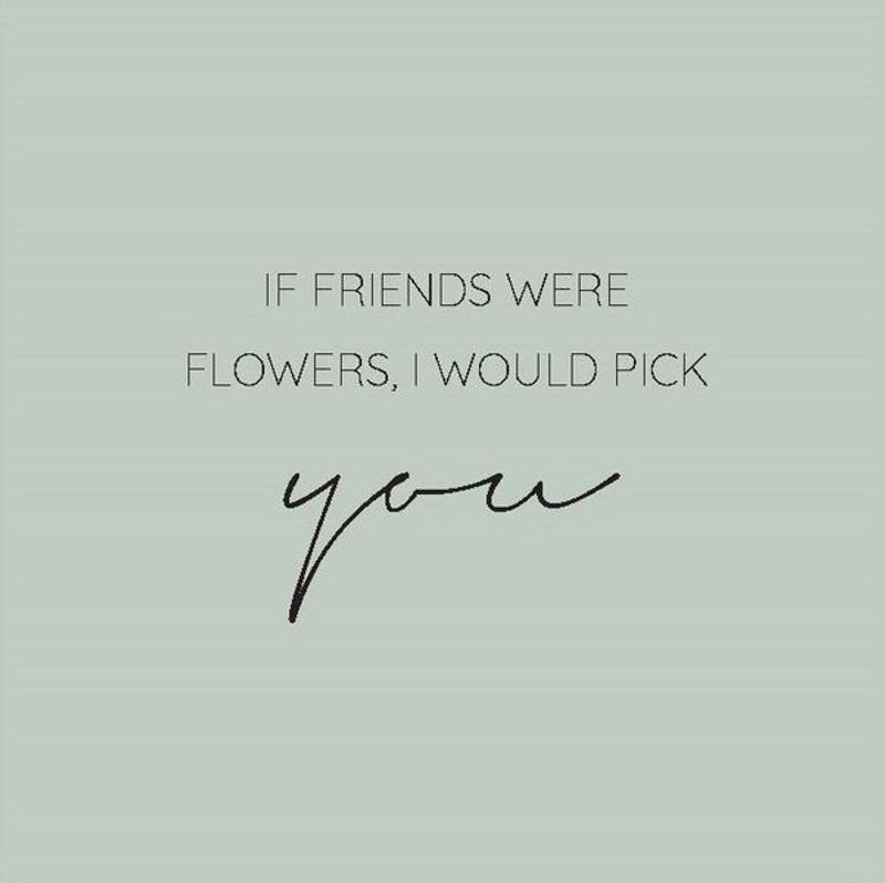 If friends were flowers, I would pick you.